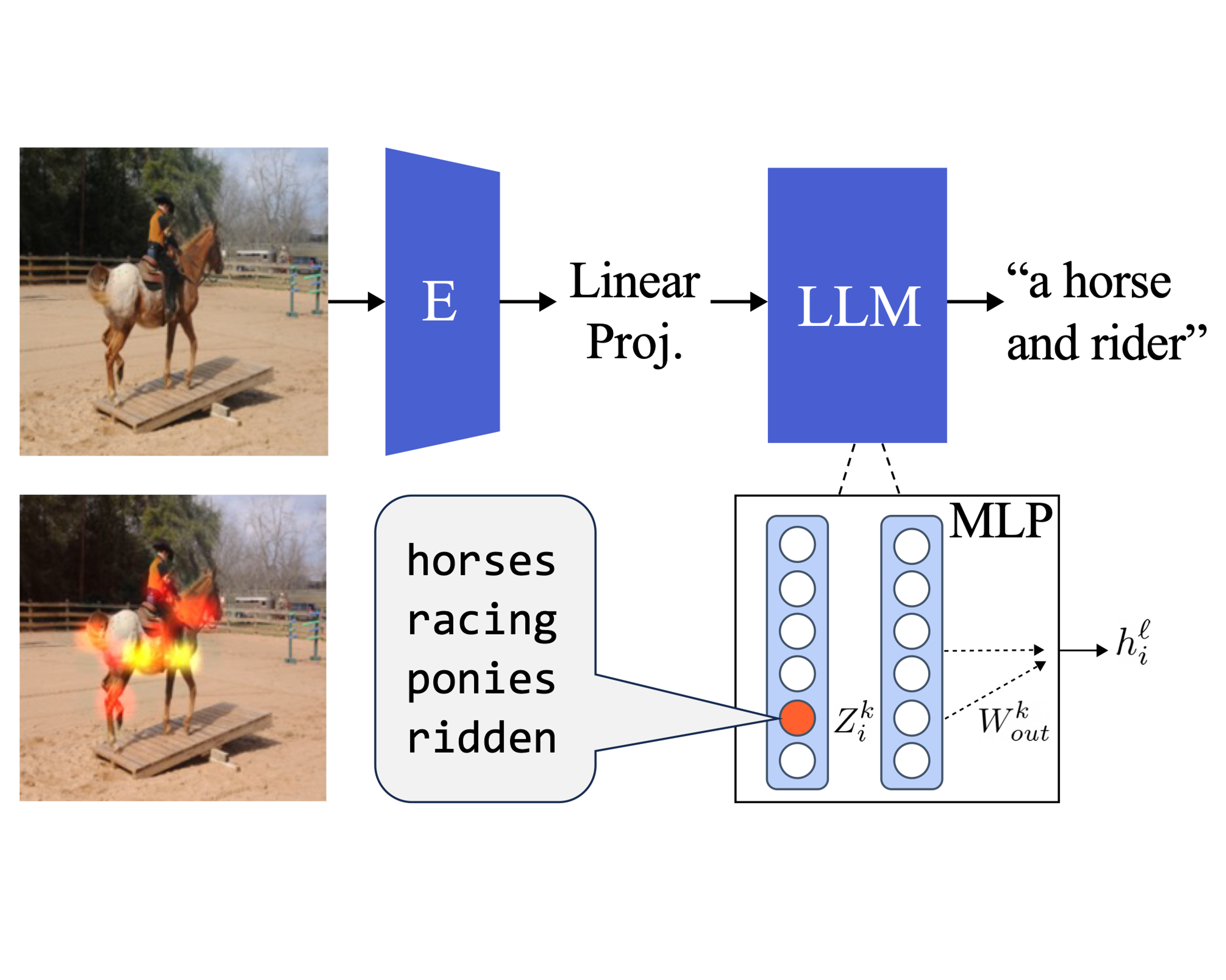 Multimodal neurons